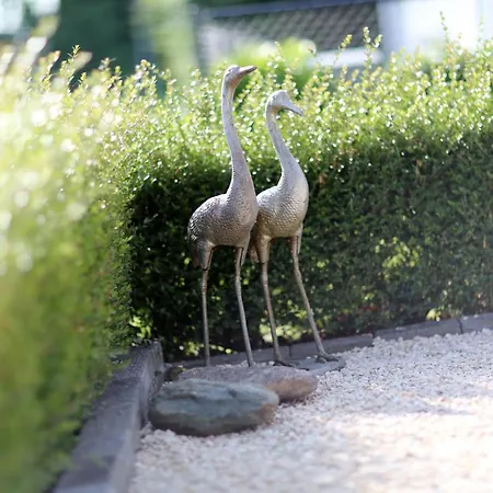 Mooi Huisje Aan De Maas Op-Andel