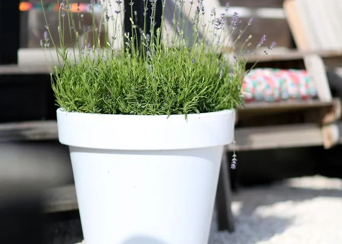 Hébergement de vacances Mooi Huisje Aan De Maas